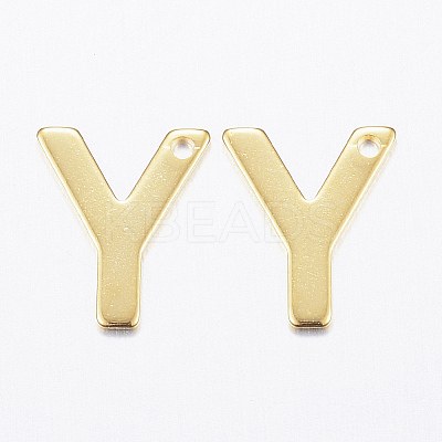 304 Stainless Steel Charms LS-X-STAS-P141-Y-1