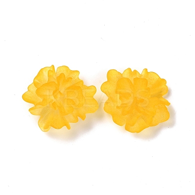Transparent Resin Cabochons RESI-G027-01C-1
