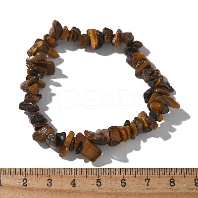 Unisex Chip Natural Tiger Eye Beaded Stretch Bracelets X-BJEW-S143-02-1