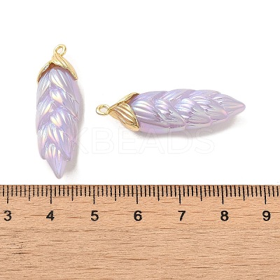 Rainbow Iridescent Plating Resin Pendants RESI-C047-03E-G-1