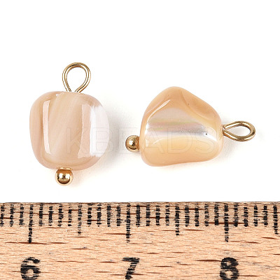 Natural Trochus Shell Nuggets Charms STAS-D378-36G-1