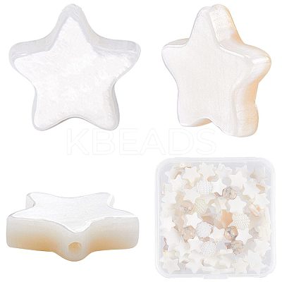 3 Strands Natural Freshwater Shell Beads Strands SHEL-CN0001-02-1