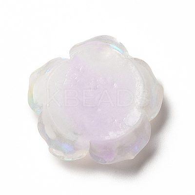 Luminous Resin Cabochons CRES-D005-C06-1