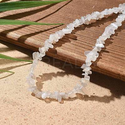 Natural Supper 7 Rutilated Quartz Chip Beaded Necklaces for Men Women NJEW-G159-01J-1