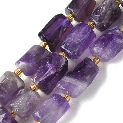 Natural Amethyst Beads Strands G-N327-06-41-1