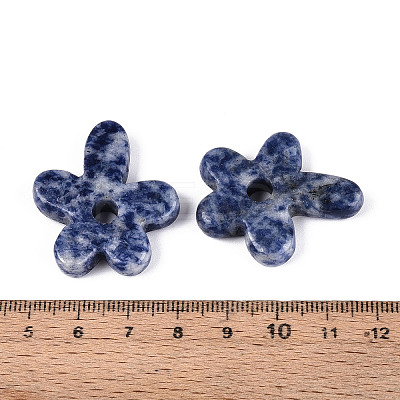 Natural Blue Spot Jasper Pendants G-T142-44L-1