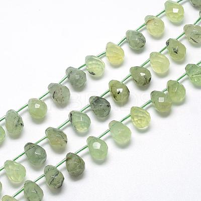 Natural Prehnite Beads Strands G-R435-15J-1