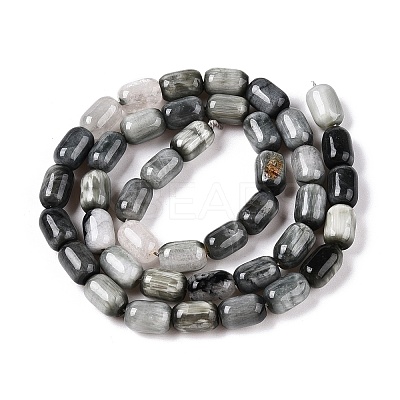 Natural Eagle Eye Stone Beads Strands G-G980-43-1