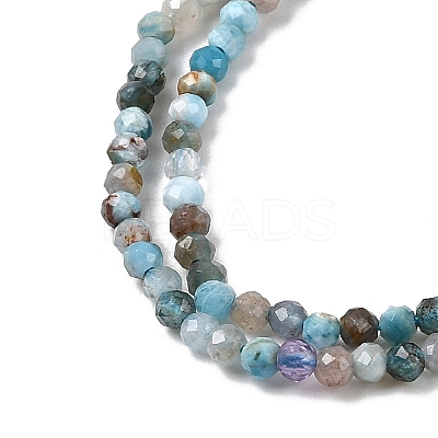 Natural Apatite Beads Strands G-K366-C05-2mm-1