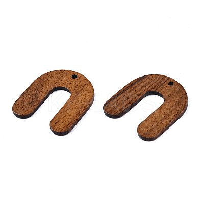 Resin & Walnut Wood Pendants WOOD-N011-008-1