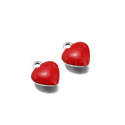 Stainless Steel Charms PW-WG0E535-06-1