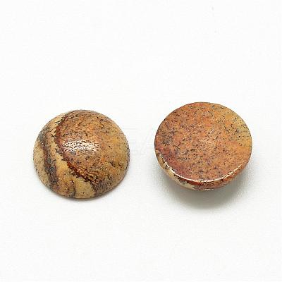 Natural Picture Jasper Cabochons G-R416-16mm-42-1