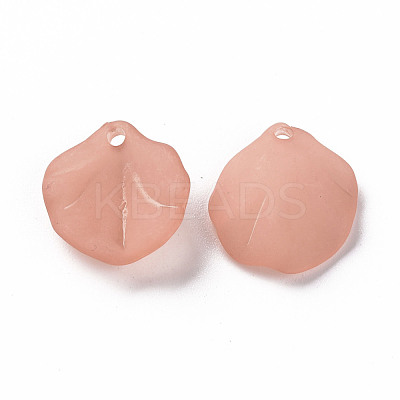 Transparent Frosted Acrylic Pendants MACR-S371-02A-763-1