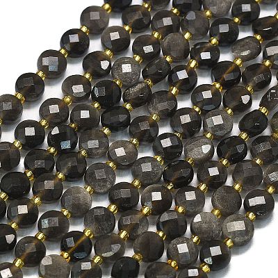 Natural Silver Sheen Obsidian Beads Strands G-K389-B79-01-1