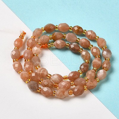 Natural Sunstone Beads Strands G-H297-C14-01-1