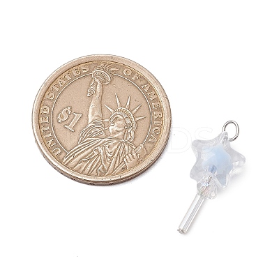 5Pcs Acrylic & Glass Pendants PALLOY-JF03526-02-1
