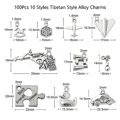 100Pcs 10 Styles Tibetan Style Alloy Pendants TIBEP-CJ0002-62-1