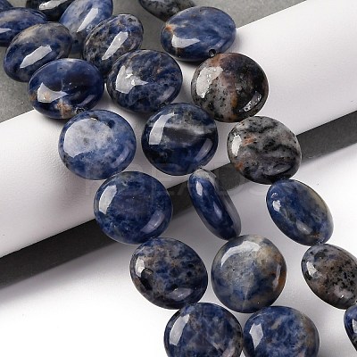Natural Sodalite Beads Strands G-C159-A09-01-1