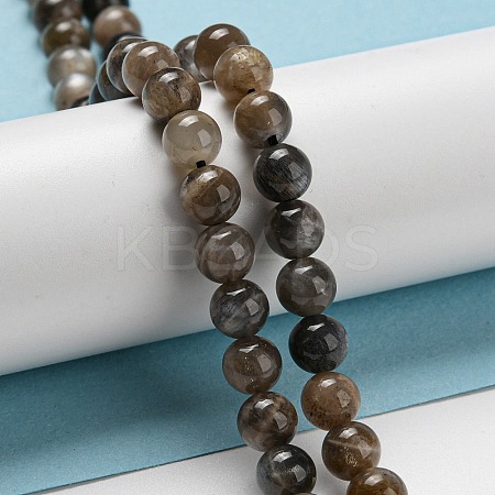 Natural Black Moonstone Beads Strands G-A219-A01-03-1