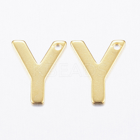 304 Stainless Steel Charms LS-X-STAS-P141-Y-1