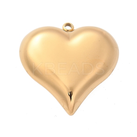 304 Stainless Steel Pendants STAS-Q349-02B-G-1