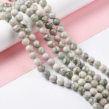 Natural Peace Jade Beads Strands G-G905-07-6MM-1