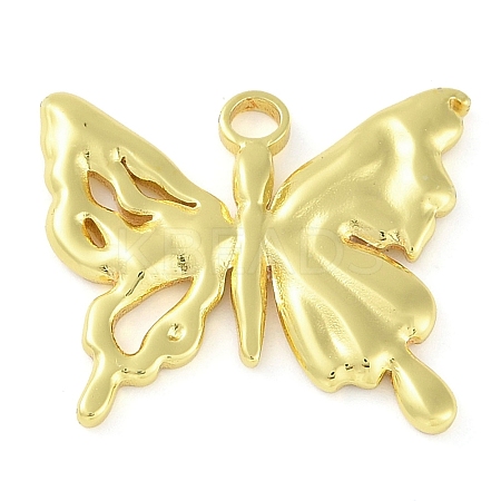 304 Stainless Steel Pendants STAS-P366-50G-1