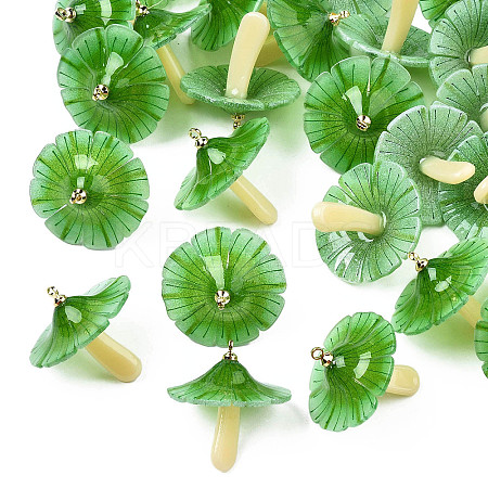 Plastic Pendants KY-N015-118C-02-1