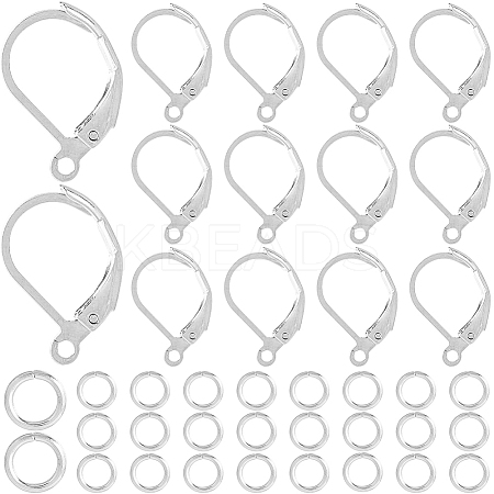 80Pcs 304 Stainless Steel Leverback Earring Findings STAS-SP0001-12-1