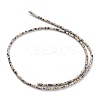 Natural Dalmatian Jasper Beads Strands G-H255-10-3