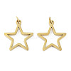 Ion Plating(IP) 304 Stainless Steel Pendants STAS-G324-01E-G-1