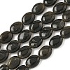 Natural Golden Sheen Obsidian Beads Strands G-Z006-A40-2