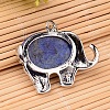 Natural Lapis Lazuli Pendants G-F265-02C-2