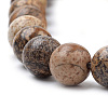 Natural Picture Jasper Beads Strands G-S259-27-10mm-3
