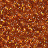 6/0 Glass Seed Beads SEED-US0003-4mm-29-2