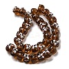 Handmade Lampwork Beads Strands LAMP-L079-03-2