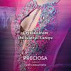 Preciosa® MAXIMA Crystal No Hotfix Flatback Stones Y-PRC-NSS8-00030-209-5