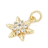 Rack Plating Brass Micro Pave Cubic Zirconia Pendants KK-H509-12G-02-2