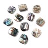 Natural Paua Shell Pendants SSHEL-D084-10A-1