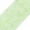 Natural Prehnite Beads Strands G-G106-A26-01-1
