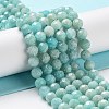 Natural Amazonite Beads Strands G-J400-E11-04-2