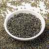 MIYUKI Round Rocailles Beads SEED-X0055-RR0343-2
