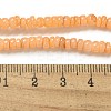 Dyed Natural Freshwater Shell Beads Strands BSHE-G039-07A-4