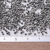 MIYUKI Delica Beads X-SEED-J020-DB0038-4