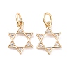 Brass Micro Pave Clear Cubic Zirconia Charms LS-KK-G418-01G-1