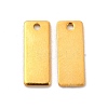 201 Stainless Steel Charms STAS-P320-24G-1