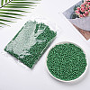 (Repacking Service Available) Glass Seed Beads SEED-C019-4mm-47-5