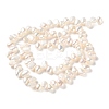 Natural Cultured Freshwater Pearl Beads Strands PA-CBABE82-02E-4