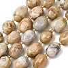 Natural Crazy Agate Beads Strands G-G453-D03-01-2