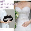 Glass Rhinestone Collar Decoration DIY-WH0061-011S-5